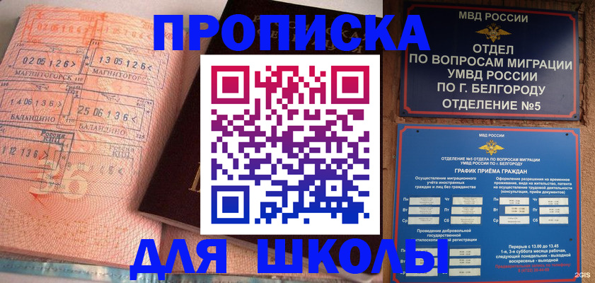 прописка иностранных граждан в Мурманской области